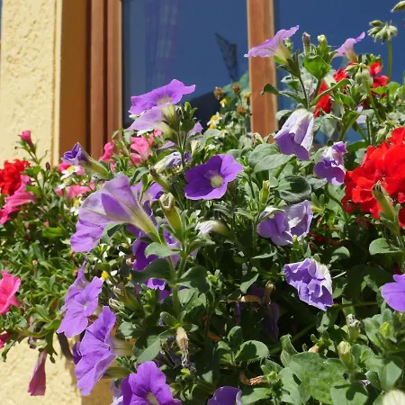 Deva Alpenglueck Schneizlreuth